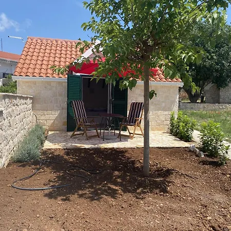 House Little Flower 1